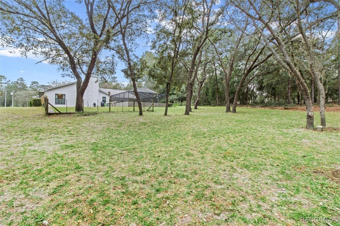 1091 E Hobart Lane, Hernando, Florida image 39