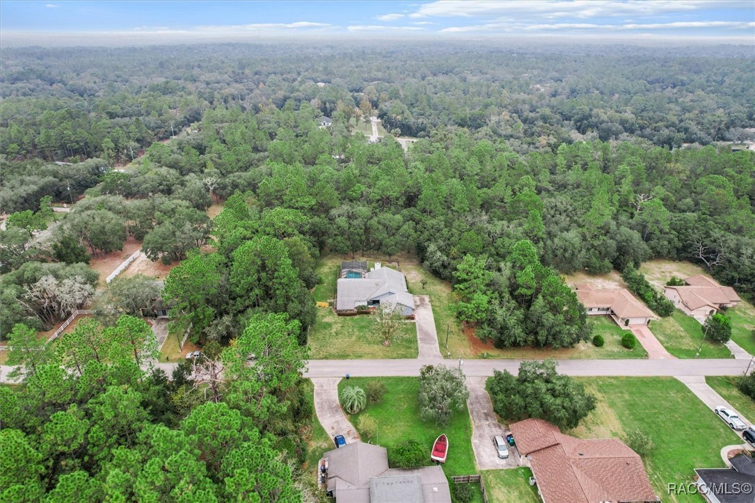 1091 E Hobart Lane, Hernando, Florida image 44