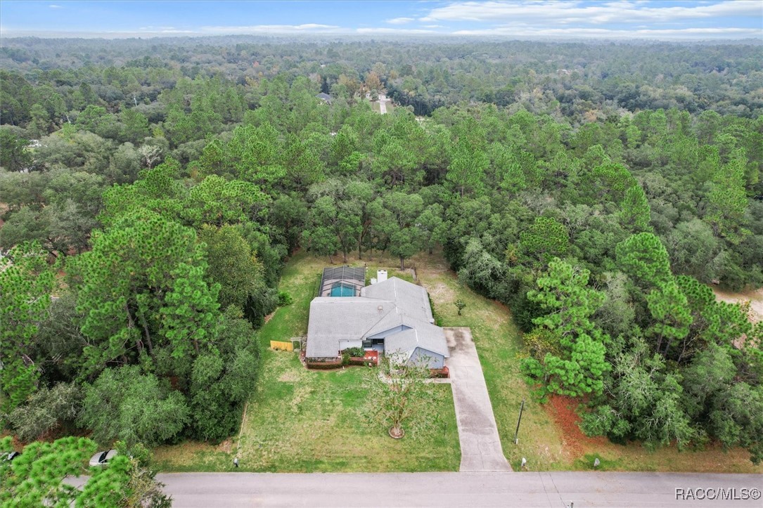 1091 E Hobart Lane, Hernando, Florida image 43