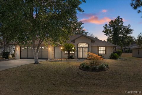 Homes For Sale - 2804 N Canterbury Lake Drive<br/> Hernando, FL 34442