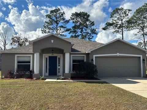 A home in Citrus Springs