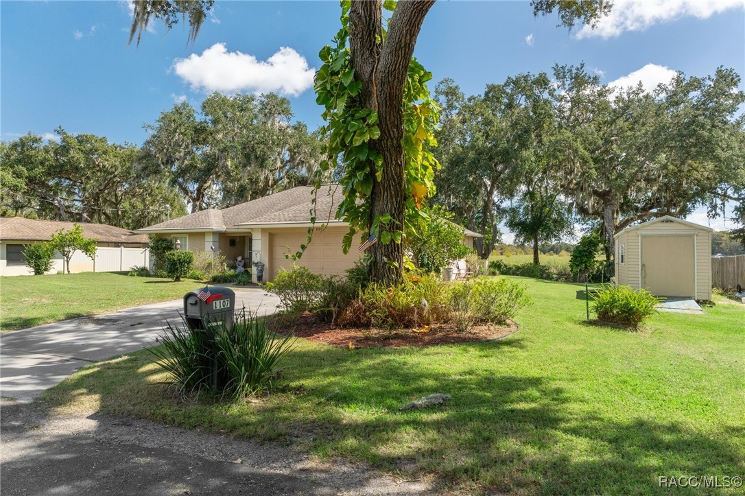 1107 S Fir Terrace, Inverness, Florida image 2