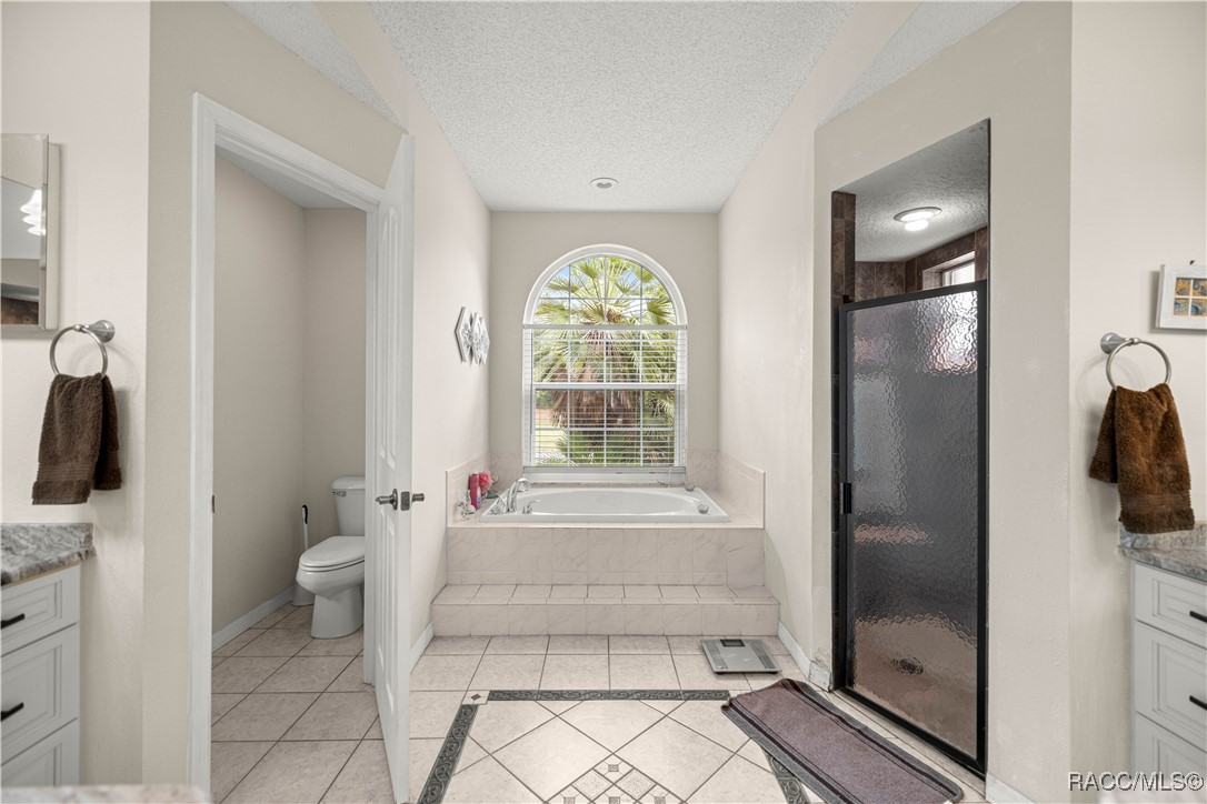2789 W Aleuts Drive, Beverly Hills, Florida image 26