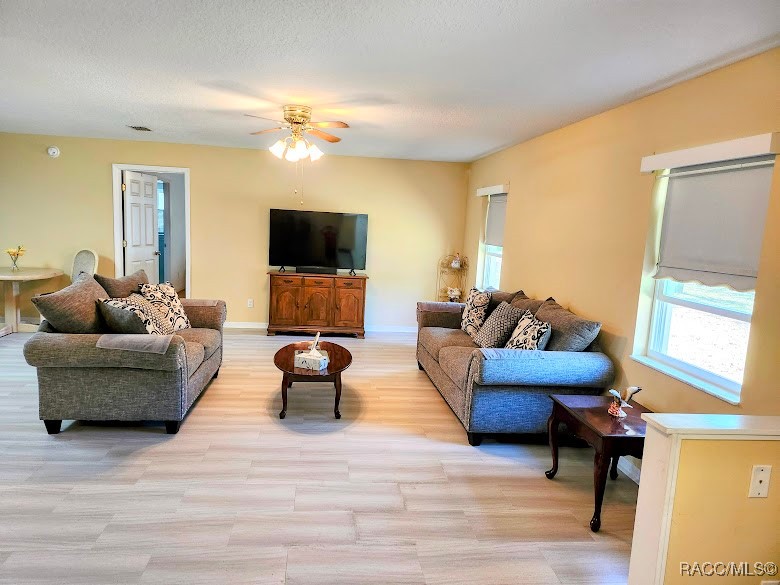 2160 N Pine Cone Avenue, Lecanto, Florida image 12
