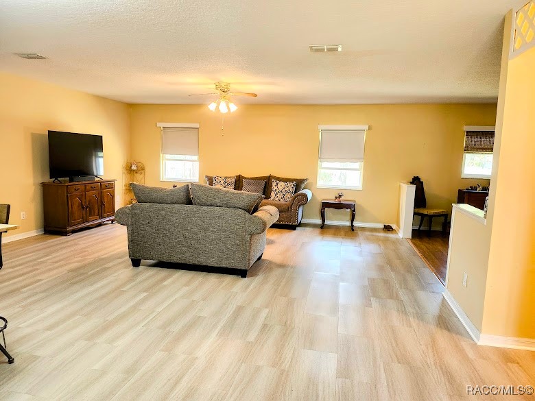 2160 N Pine Cone Avenue, Lecanto, Florida image 10