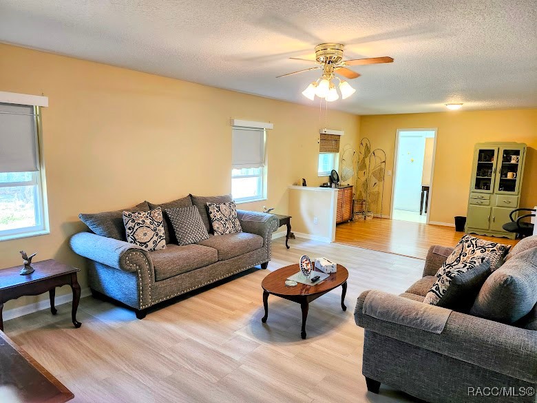 2160 N Pine Cone Avenue, Lecanto, Florida image 11
