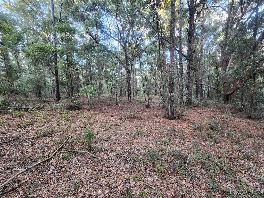 1906 Addison Street, Inverness, Florida image 4