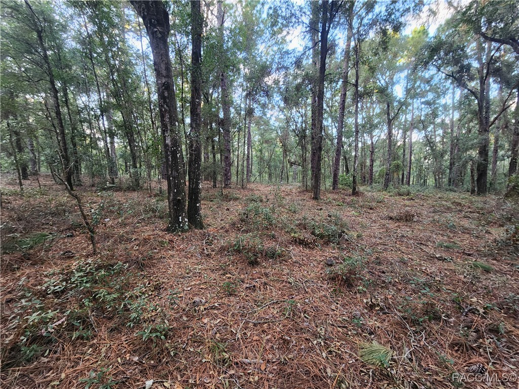 1906 Addison Street, Inverness, Florida image 6