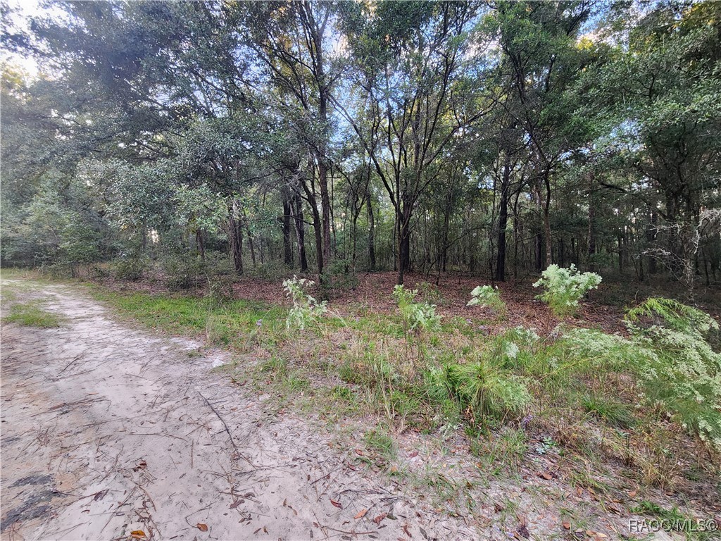 1906 Addison Street, Inverness, Florida image 1