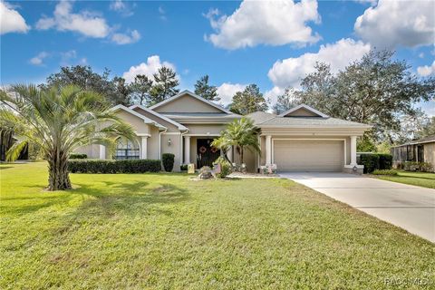 A home in Homosassa