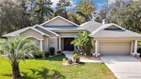 A home in Homosassa