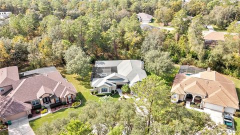 A home in Homosassa