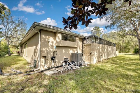 A home in Homosassa