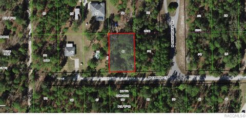 Vacant Land For Sale - 6185 W Caruso Court<br/> Dunnellon, FL 34433