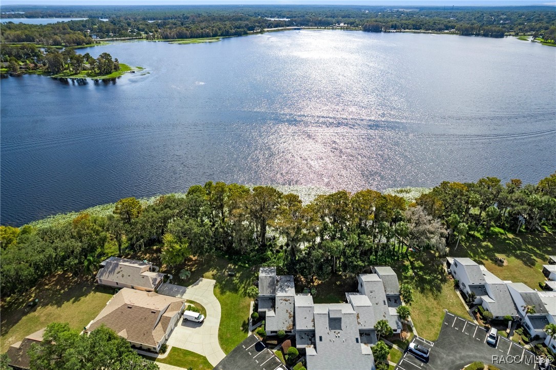 930 Pritchard Island Road, Inverness, Florida image 8