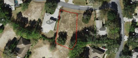 Vacant Land For Sale - 3810 W Crystal Downs Path<br/> Lecanto, FL 34461