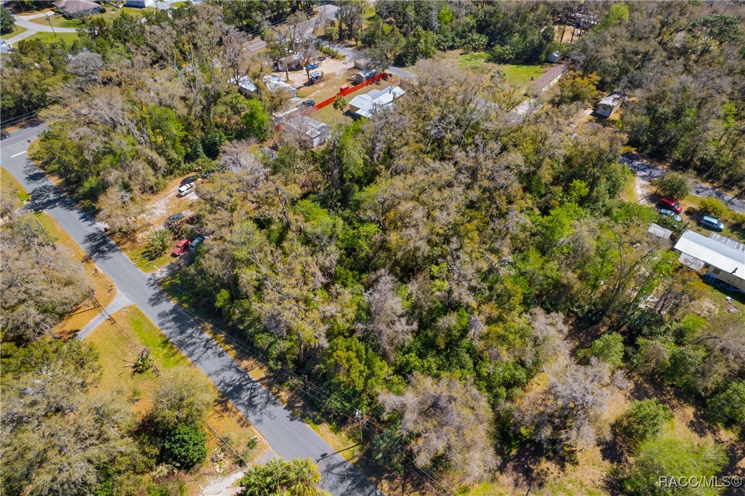 6316 W Moss Lane, Crystal River, Florida image 4