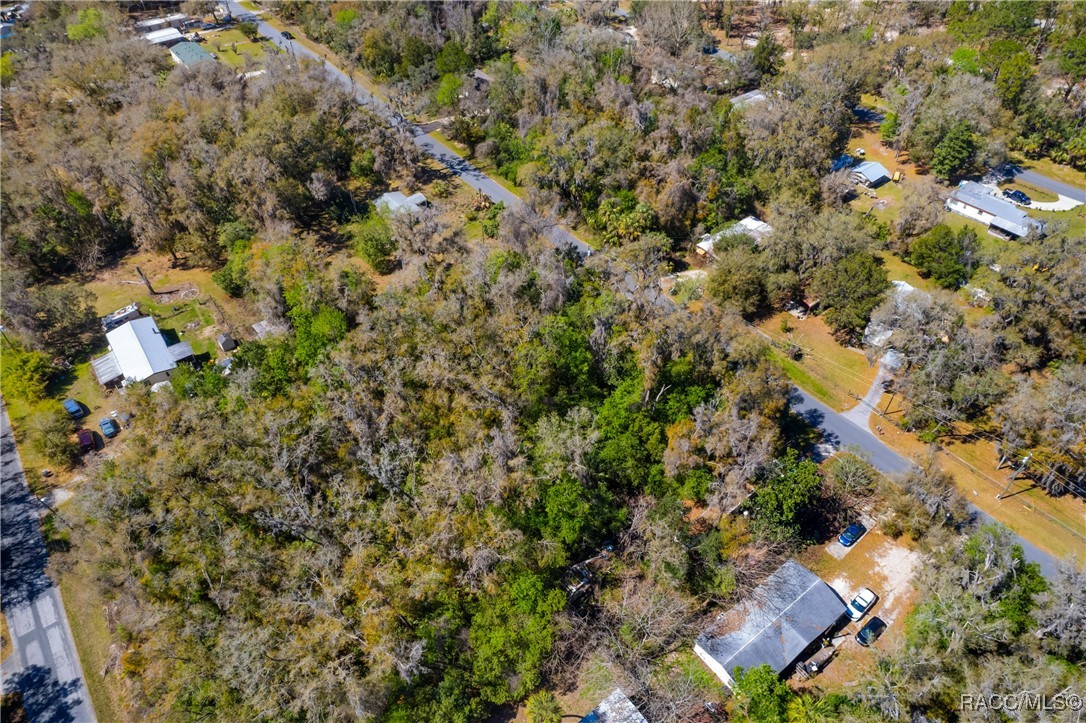 6316 W Moss Lane, Crystal River, Florida image 8