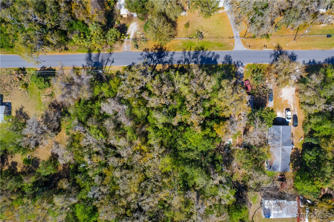 6316 W Moss Lane, Crystal River, Florida image 7