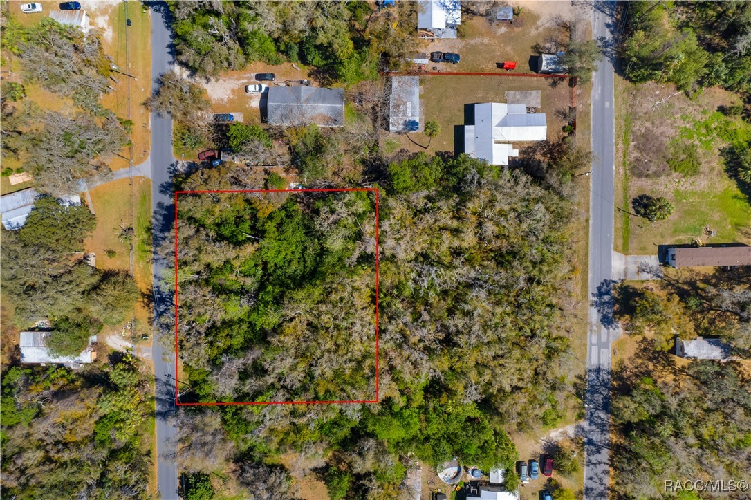 6316 W Moss Lane, Crystal River, Florida image 2