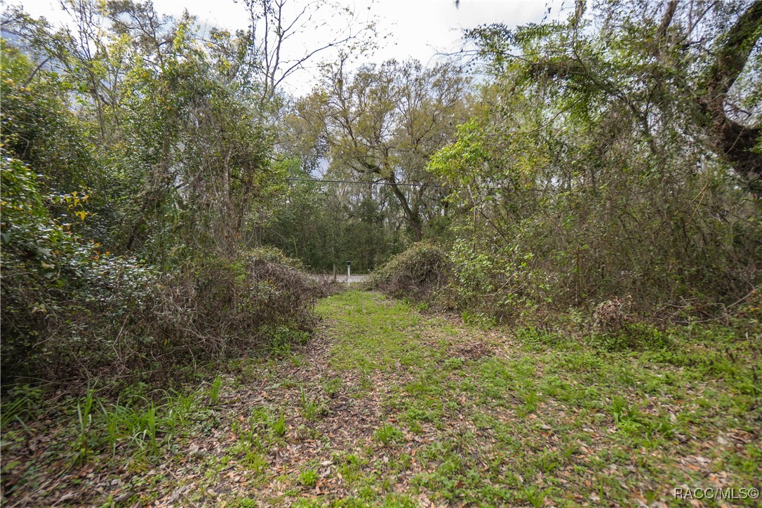6611 S Withlapopka Drive, Floral City, Florida image 26
