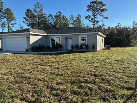 A home in Dunnellon