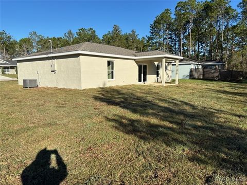 A home in Dunnellon