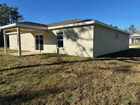 A home in Dunnellon