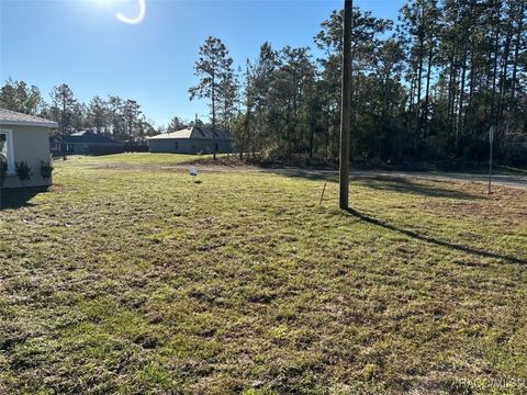 A home in Dunnellon