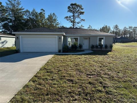 A home in Dunnellon