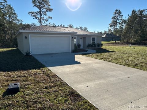 A home in Dunnellon