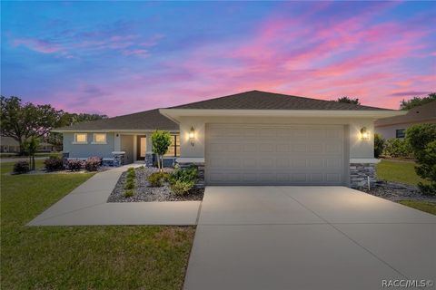 Homes For Sale - 38 S Polestar Point<br/> Inverness, FL 34453