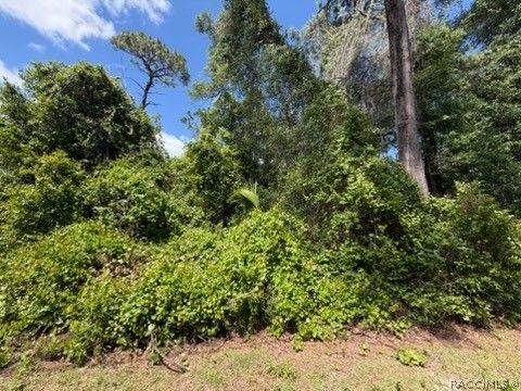 Vacant Land For Sale - 6475 E Seneca Street<br/> Inverness, FL 34452