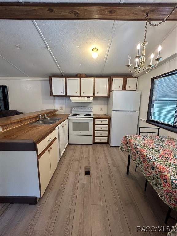 3481 S Lee Way, Homosassa, New York image 3