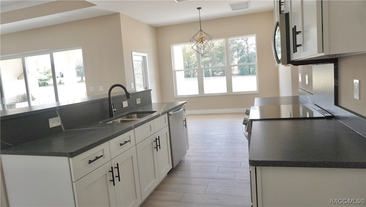 786 E Dunbar Lane, Hernando, New York image 38