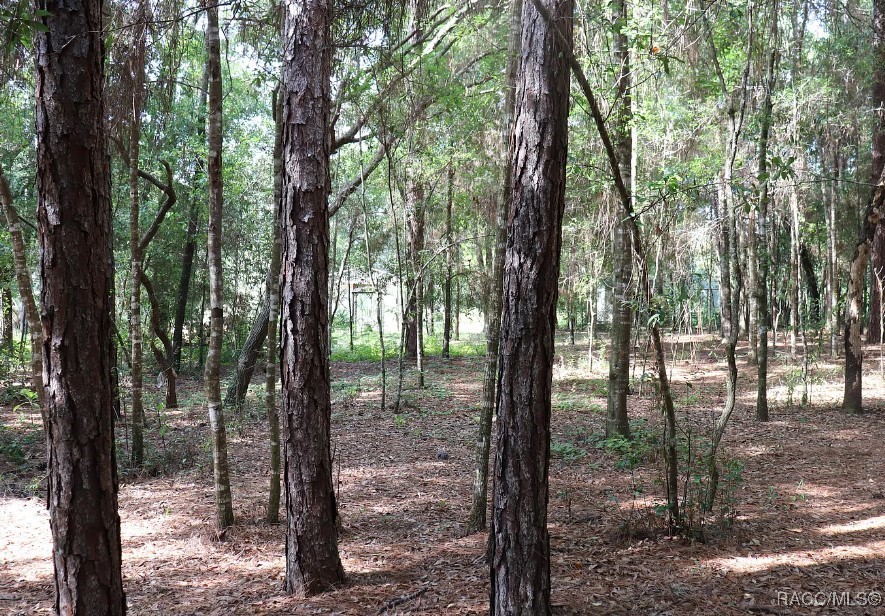 160 S Marcy Terrace, Lecanto, Florida image 4