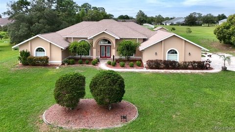 A home in Hernando