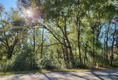 Vacant Land For Sale - 00 SW 101st Street<br/> Dunnellon, FL 34432