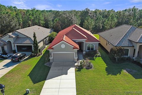 A home in Hernando