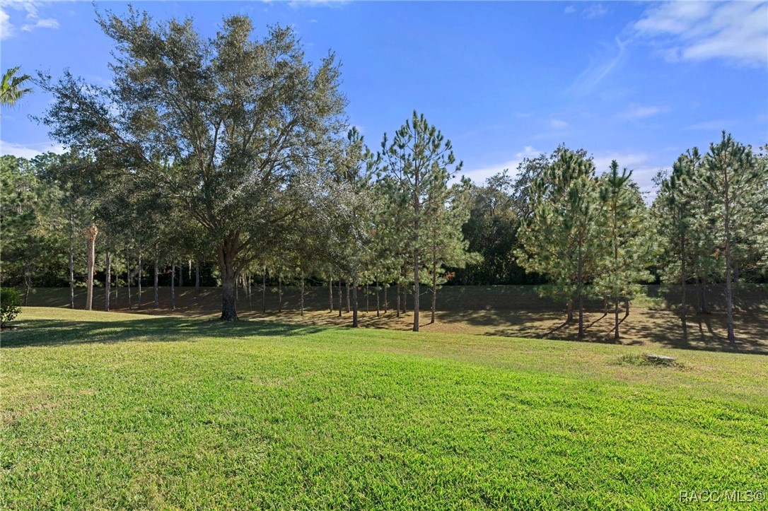 1454 W Laurel Glen Path, Hernando, Florida image 42