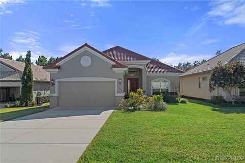 A home in Hernando