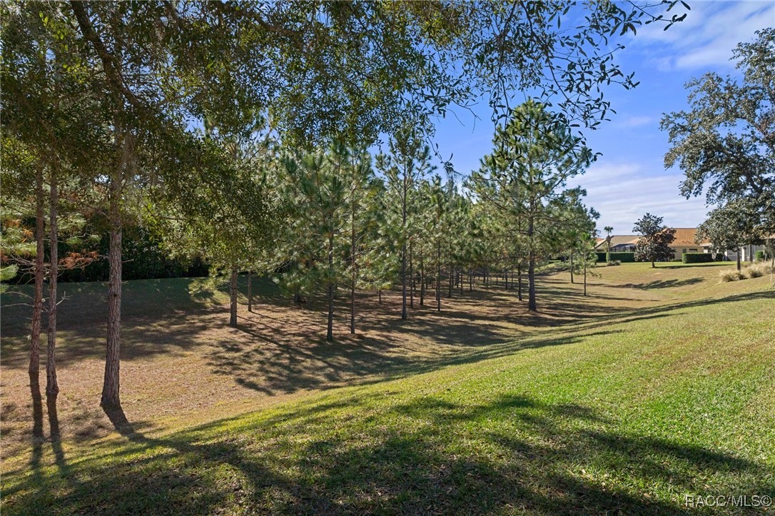 1454 W Laurel Glen Path, Hernando, Florida image 45