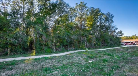 Vacant Land For Sale - 4164 W Gulf To Lake Highway<br/> Lecanto, FL 34461