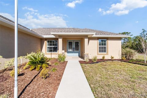 9395 N Old Mill Way Citrus Springs FL 34433