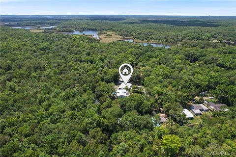 A home in Homosassa