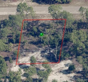 1820 W Pendleton Street, Dunnellon, New York image 2