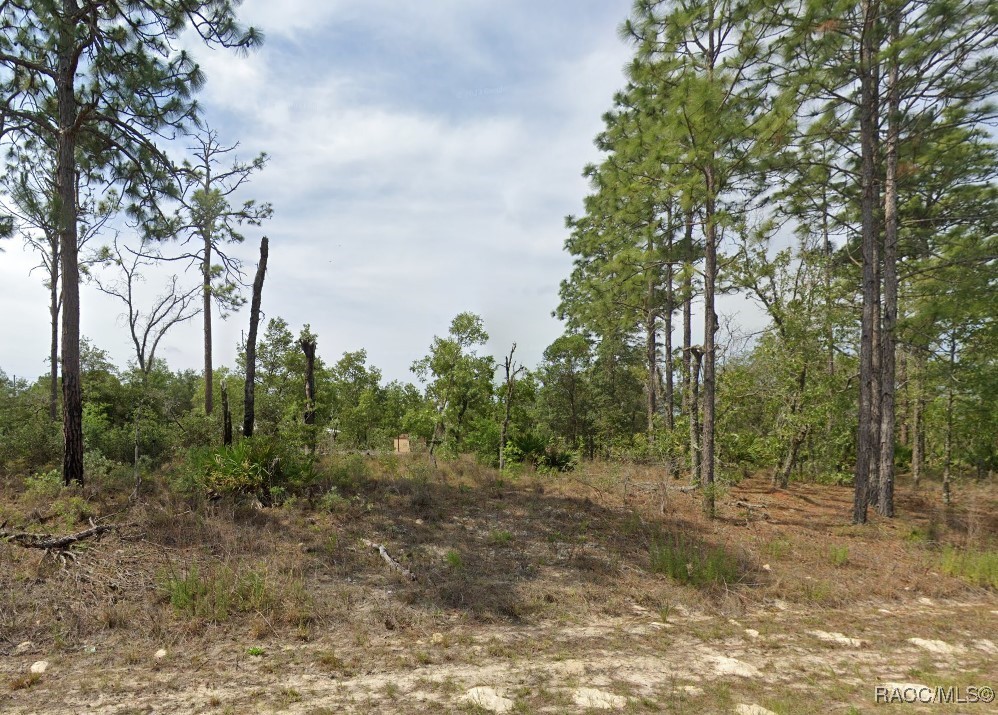 1820 W Pendleton Street, Dunnellon, New York image 1