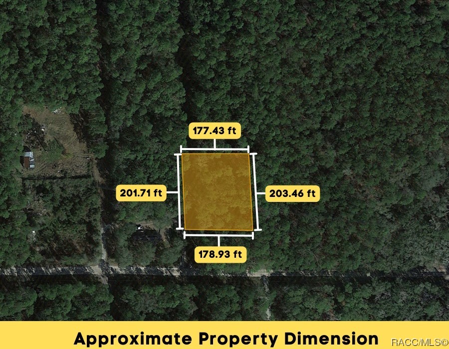 Lot B NE 66th Court, Citra, Florida image 5