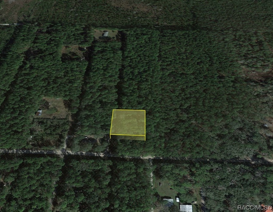 Lot B NE 66th Court, Citra, Florida image 7