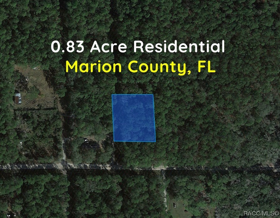 Lot B NE 66th Court, Citra, Florida image 3